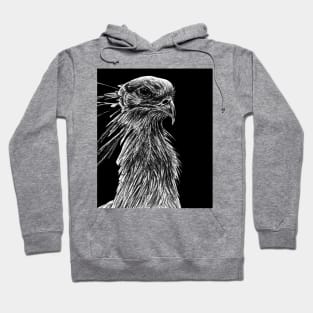 Secretary bird ink illustration Hoodie